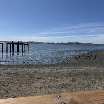 Fishetarian Fish Market - View of the bay at our table - Seafood Near Me - Bodega Bay, California