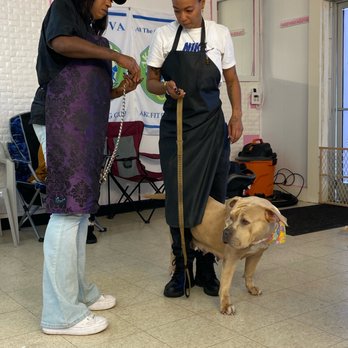 Queen of the Paws - Pet Groomers Near Me - Norfolk, Virginia Queen of the Paws - Pet Groomers Near Me - Norfolk, Virginia
