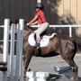 Photo of Perfect Pony Riding Academy
