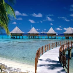 New Day Travels - Tahiti Dreams