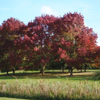 Marks Hall Gardens and Arboretun - Landmarks & Historical Buildings Near Me