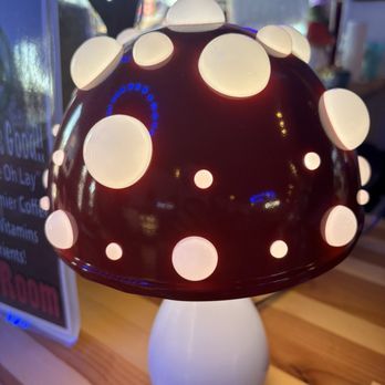 The Shroom Room - Lamp - Coffee & Tea Near Me - Mesa, Arizona The Shroom Room - Lamp - Coffee & Tea Near Me - Mesa, Arizona