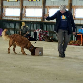 Hippie Dog - Dog Training in Richfield, MN - Pet Training Near Me - Richfield, Minnesota Hippie Dog - Dog Training in Richfield, MN - Pet Training Near Me - Richfield, Minnesota