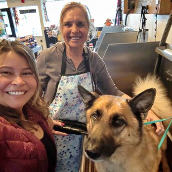 Dog Tub - Pet Stores Near Me - Laguna Beach, California