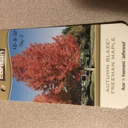 Maple Lake Tree Farm