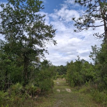 Pine Lily Preserve - Parks Near Me - Orlando, Florida
