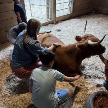 Highland Farms - Combing the highland cows - Venues & Event Spaces Near Me - Brightwood, Oregon Highland Farms - Combing the highland cows - Venues & Event Spaces Near Me - Brightwood, Oregon