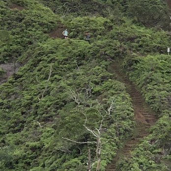 Wiliwilinui Ridge Trail - Hiking Near Me Wiliwilinui Ridge Trail - Hiking Near Me