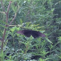Seven Island Wildlife Refuge