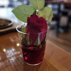 Temptinn - Indian Fusion Cuisine