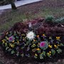 Woodlands Lawn and Garden Services