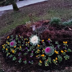 Woodlands Lawn and Garden Services - Planting winter flowers