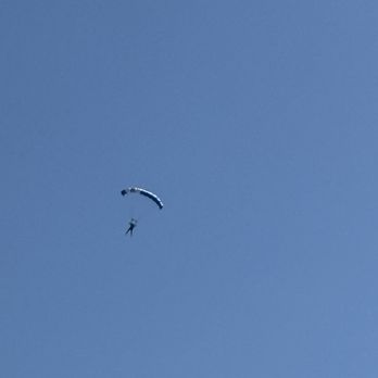 Zoo bar - Sky diving in Sebastian, Fl - Diners Near Me - Sebastian, Florida