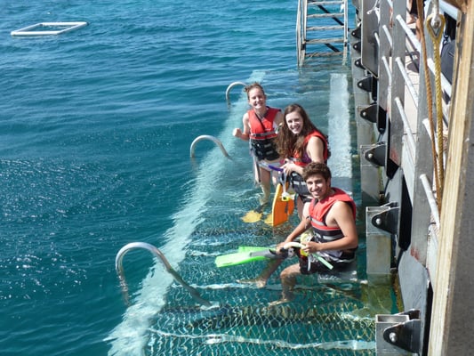 Sunlover Reef Cruises by null