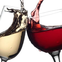 Studio 209 - Wine Specials Every Day!!!