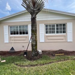 Nursery Elegua's - Front yard Before