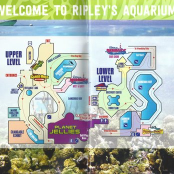 Ripley's Mirror Maze - Aquarium Map (as of 8/2021) - Aquariums Near Me - Myrtle Beach, South Carolina Ripley's Mirror Maze - Aquarium Map (as of 8/2021) - Aquariums Near Me - Myrtle Beach, South Carolina