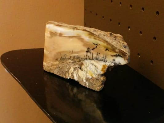 Wanapum Recreation Area by null