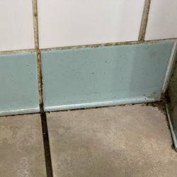 Mid Rivers Mall - Mold under hand dryer in restroom.