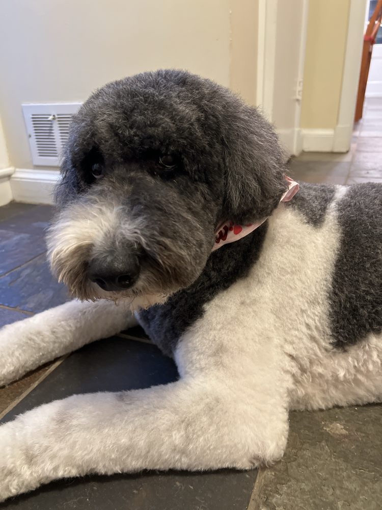 o Jupiter Florida Real Estate For Sale