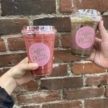 Coffee and Plants - The Rose Bowl Latte (oat milk base) and Matcha (oat milk base) - Coffee & Tea Near Me - Pasadena, California
