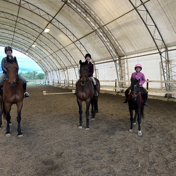 By Design Equine - Horseback Riding Near Me - Winters, California By Design Equine - Horseback Riding Near Me - Winters, California