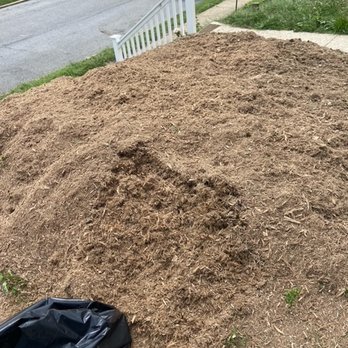 USA Tree Services - Tree Services Near Me - Linthicum Heights, Maryland