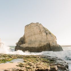 The fin! | By Luke Cunningham