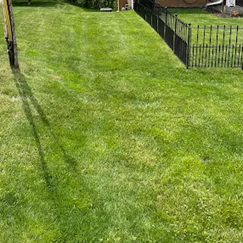 TruGreen Lawn Care - A weed-free lawn starts with a care goal. Ask TruGreen about options in Monroeville, PA, and nearby Murrysville. - Lawn Services Near Me - Monroeville, Pennsylvania TruGreen Lawn Care - A weed-free lawn starts with a care goal. Ask TruGreen about options in Monroeville, PA, and nearby Murrysville. - Lawn Services Near Me - Monroeville, Pennsylvania