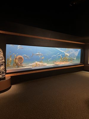 Mountain America Museum of Ancient Life at Thanksgiving Point by null