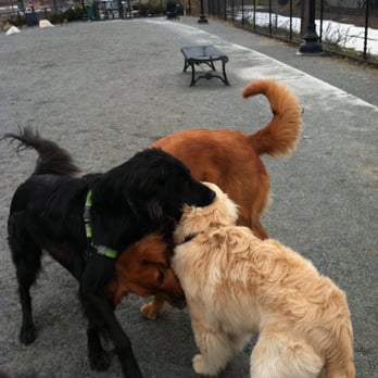 Neighborhood Paws - Dog Walkers Near Me