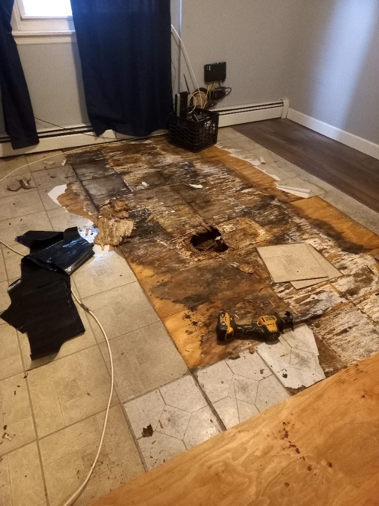 Slide of Hector Plumber