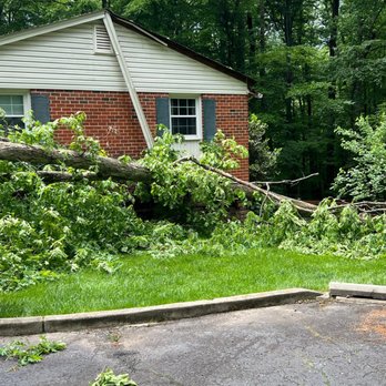 M&R Tree Service - Emergency tree removal, before our crew arrived. - Tree Services Near Me - Arlington, Virginia M&R Tree Service - Emergency tree removal, before our crew arrived. - Tree Services Near Me - Arlington, Virginia