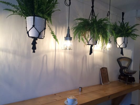 Love Supreme Coffee Stoneybatter by null