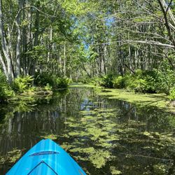 Beaver Lake Nature Center - Hidden trail