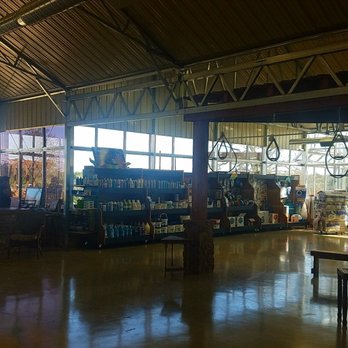 Community Gardens - Runkle's Pool Supplies - Nurseries & Gardening Near Me - Bastrop, Texas