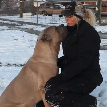 Worldwide Cane Corso - Pet Training Near Me