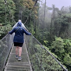 Odysseys Unlimited - Hanging bridges