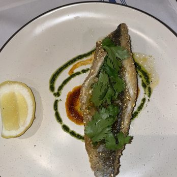 Jolie - Loup de Mar - Seafood Near Me - Coronado, California