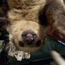 THE SLOTH CENTER AT ZOOLOGICAL WILDLIFE CONSERVATION CENTER - CLOSED
