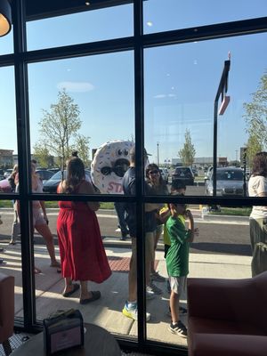 Stan's Donuts & Coffee by null