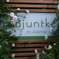 Majuntke