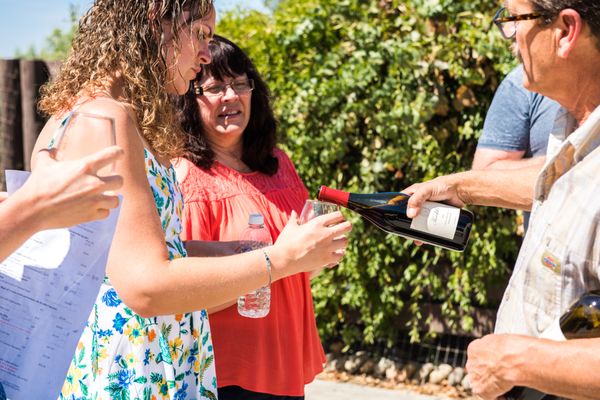 Rooted Vine Wine Tours by null