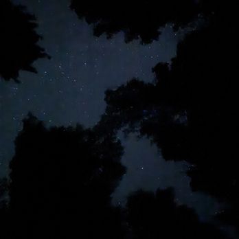 Lake Hemet - Night sky through the trees - Campgrounds Near Me - Mountain Center, California