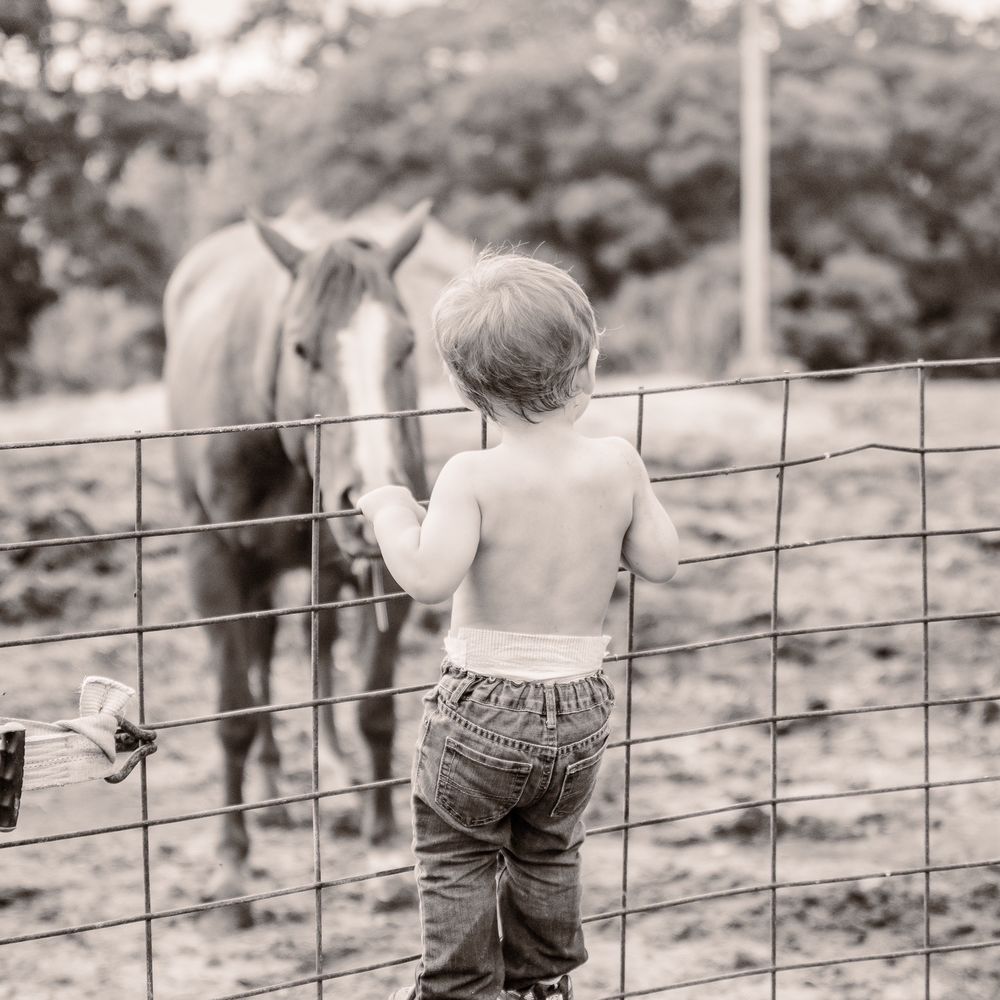 ALC Photography - Animal photo - Event Photography Near Me