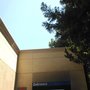 Photo of Nelson Chevron Service Station