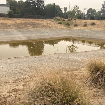 Florin Creek Park - This is a haven for mosquito breeding - Parks Near Me - Sacramento, California