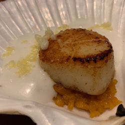 Elevé - Hot prepared Scallop