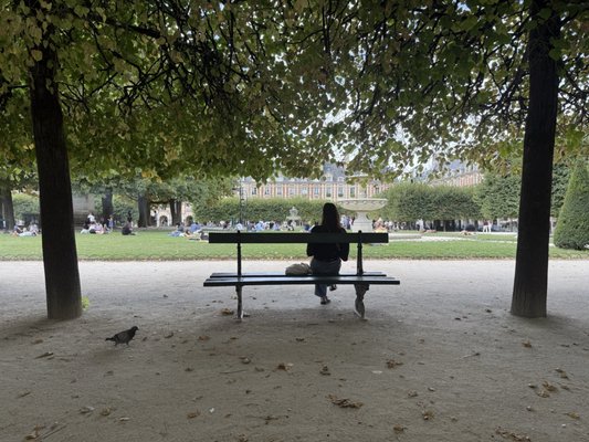 Place des Vosges by null