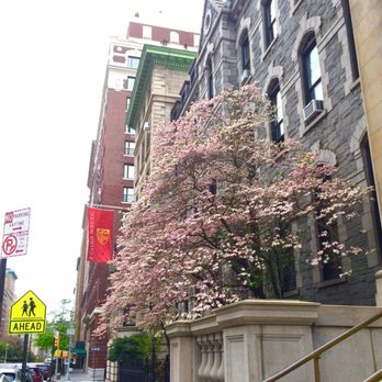 Loyola School - 04/30/17 - Middle Schools & High Schools Near Me - New York, New York Loyola School - 04/30/17 - Middle Schools & High Schools Near Me - New York, New York